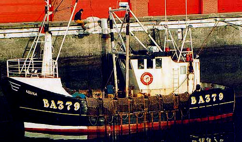 The AQUILA (BA379) - photo courtesy of Brian Gillies of www.MCAorals.co.uk